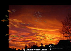 Skyfall?

(except of the fish, the evening-sky is not p... by Claudia Weber-Gebert 